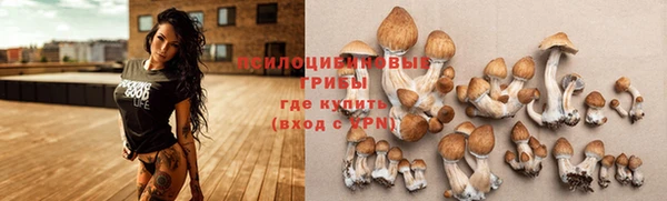 МДМА Кукмор